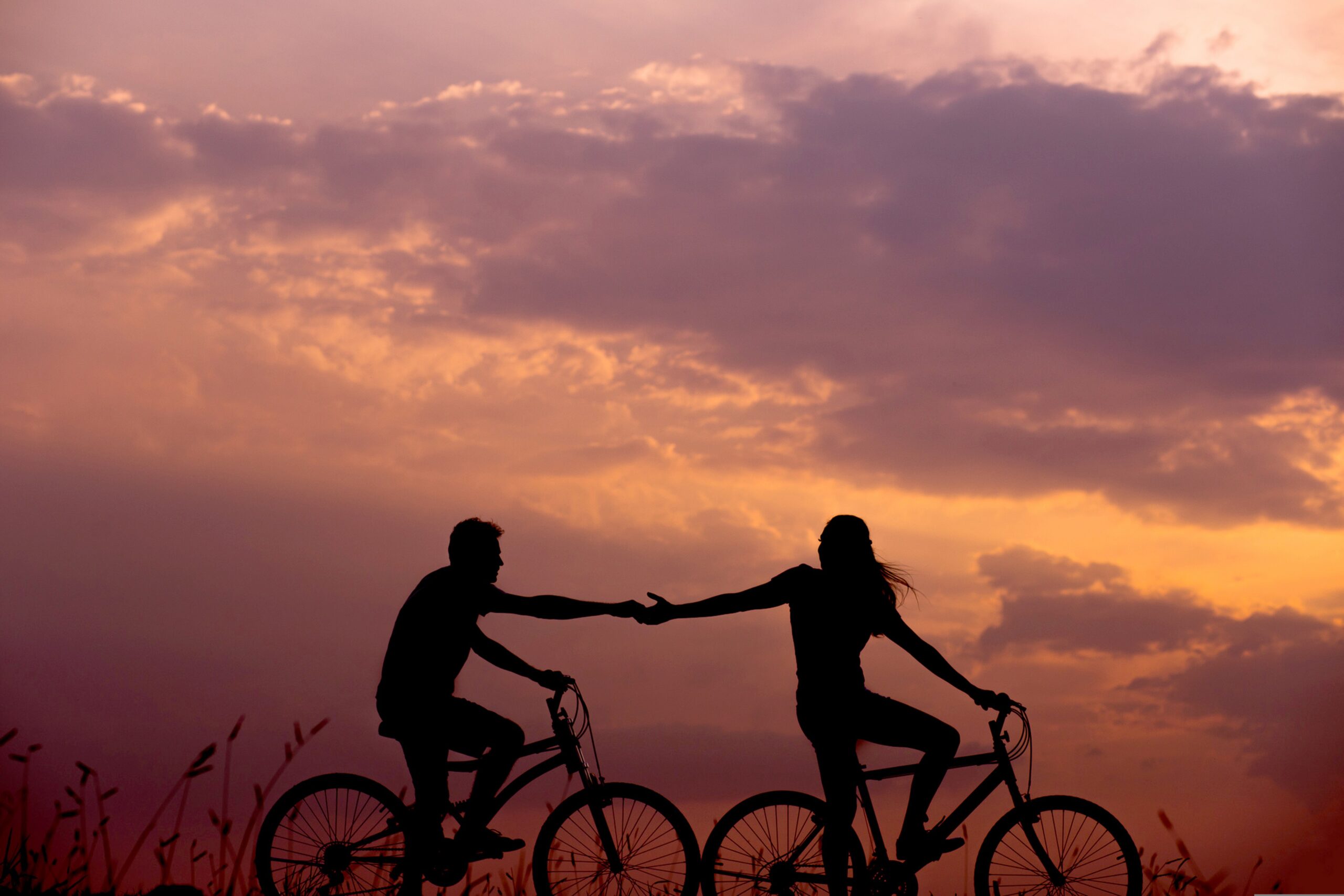pexels-bicycles-1867046